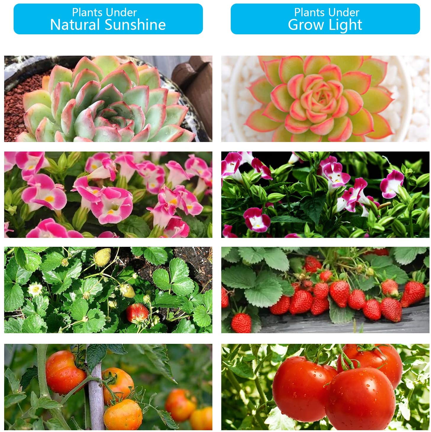 Plant Grow Light with 4 Flexible LED Strips – 1 Pack