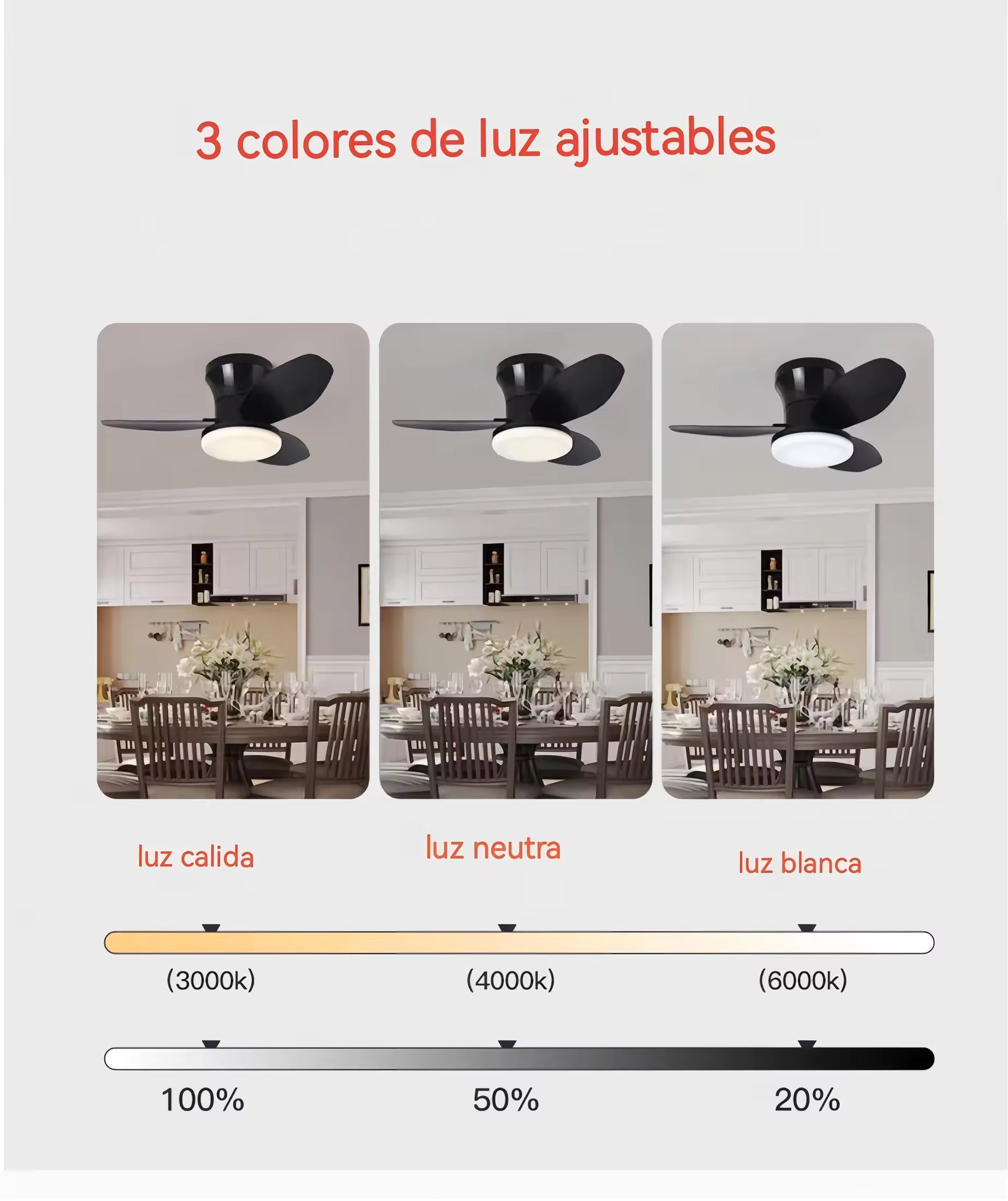 Ventilateur de plafond silencieux de 65 cm (25,5 pouces) avec lumière - Petit ventilateur de plafond avec télécommande, 3 modes d'éclairage LED, 6 vitesses