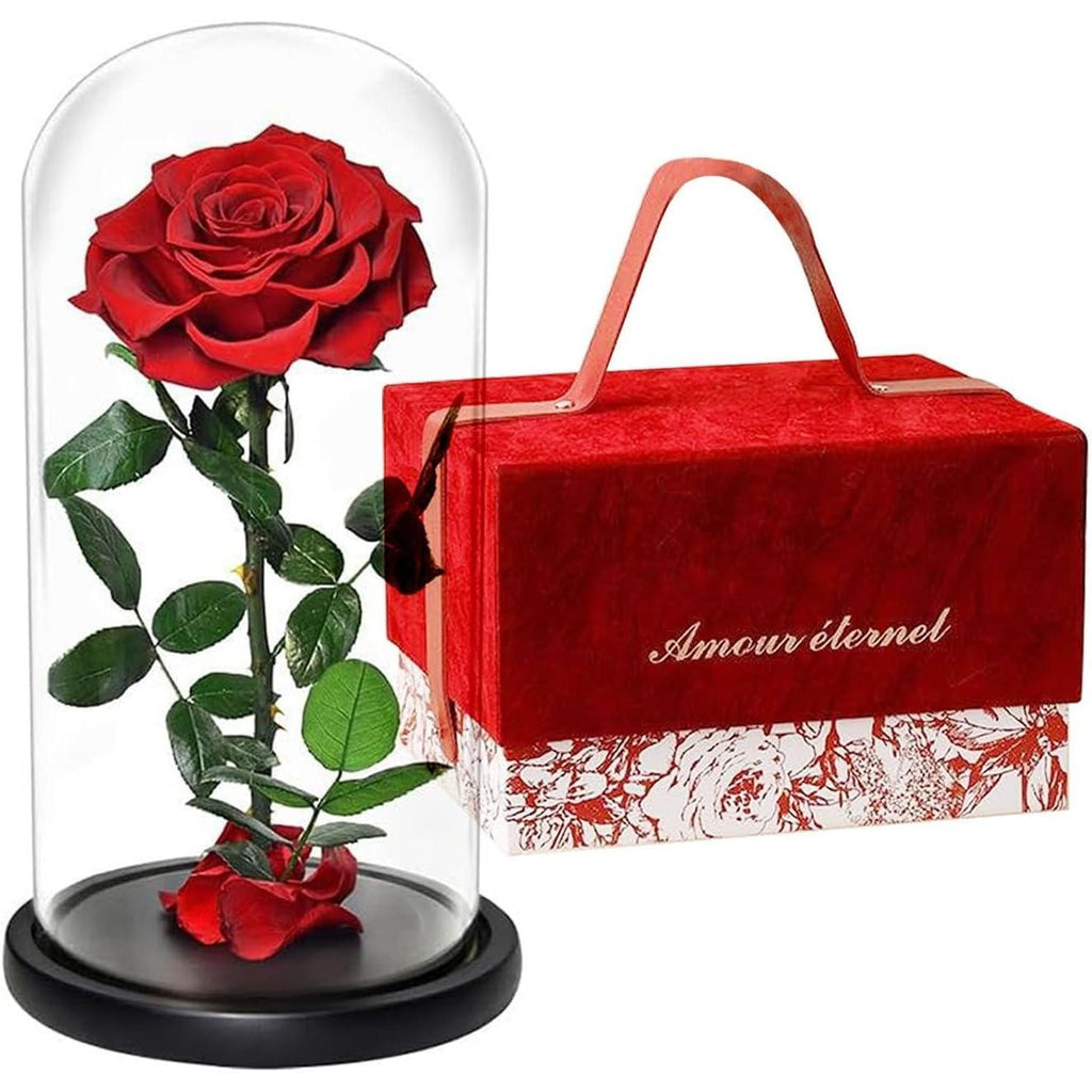 Forever Preserved Rose ¨C Eternal Infinity Real Flower in Glass ¨C Gifts for Valentine's Day and Birthdays for Women: Wife, Mother, Girlfriend (8.07 inches, Red)