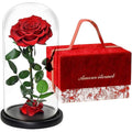 Forever Preserved Rose ¨C Eternal Infinity Real Flower in Glass ¨C Gifts for Valentine's Day and Birthdays for Women: Wife, Mother, Girlfriend (8.07 inches, Red)