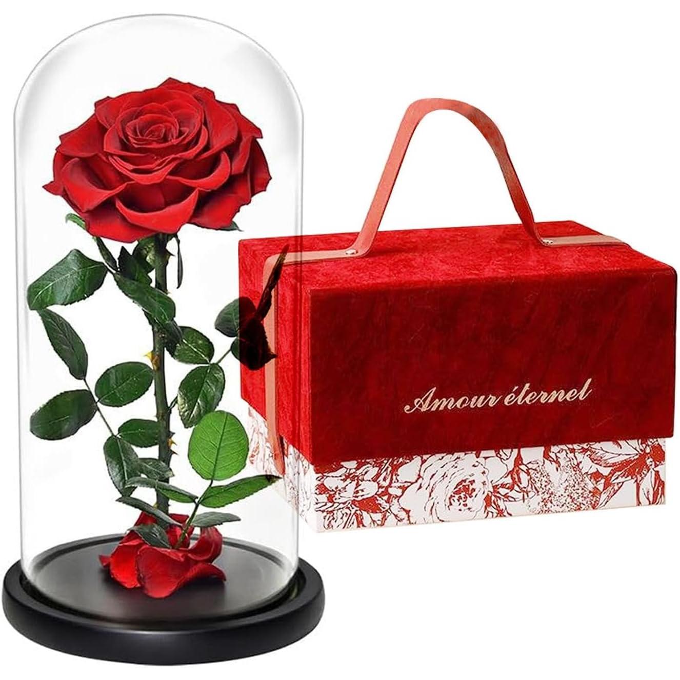 Forever Preserved Rose ¨C Eternal Infinity Real Flower in Glass ¨C Gifts for Valentine's Day and Birthdays for Women: Wife, Mother, Girlfriend (8.07 inches, Red)