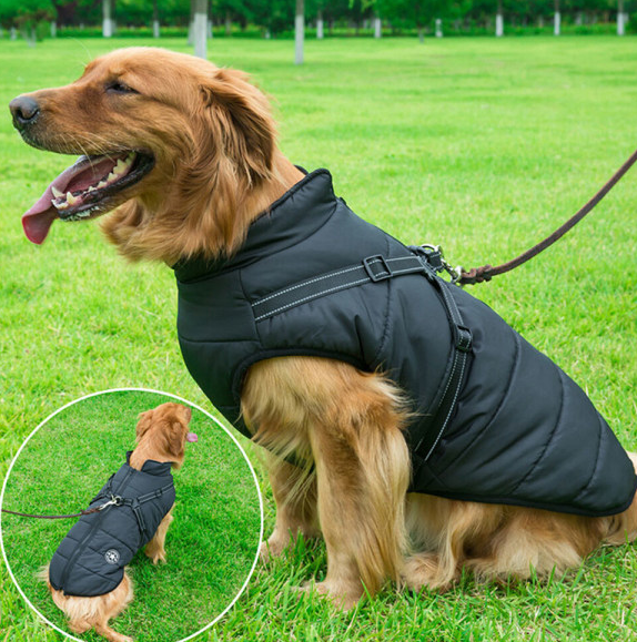 Varm, vandtæt hundejakke med sele – Behageligt vintertøj i bomuld – Tyk vest til små og mellemstore hunde