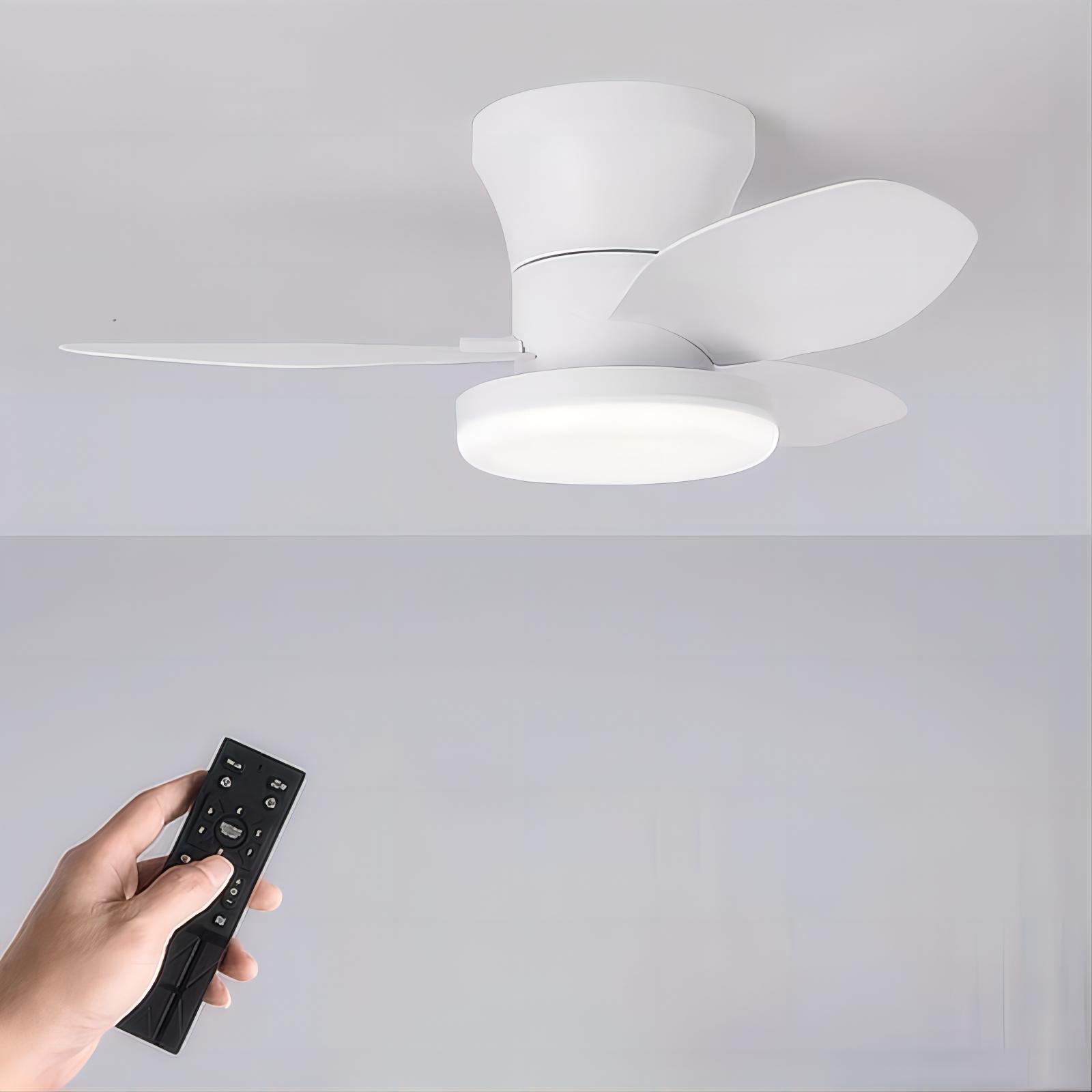 Ventilateur de plafond silencieux de 65 cm (25,5 pouces) avec lumière - Petit ventilateur de plafond avec télécommande, 3 modes d'éclairage LED, 6 vitesses