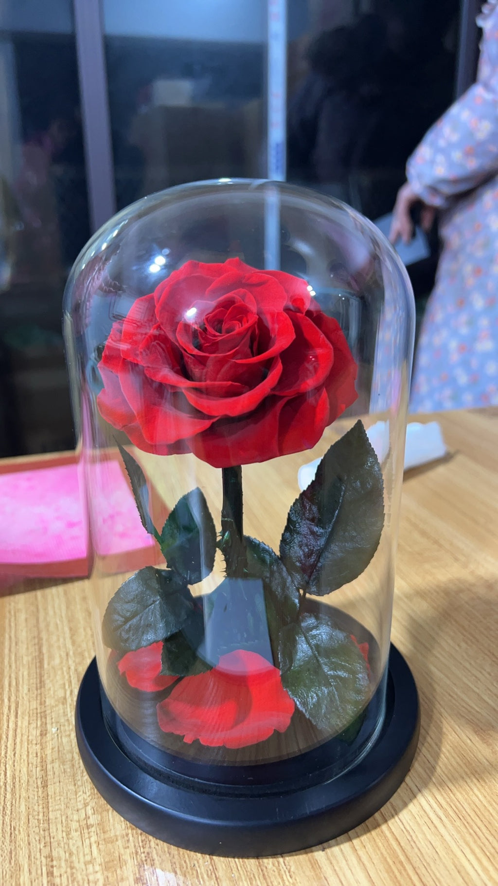 Forever Preserved Rose ¨C Eternal Infinity Real Flower in Glass ¨C Gifts for Valentine's Day and Birthdays for Women: Wife, Mother, Girlfriend (8.07 inches, Red)