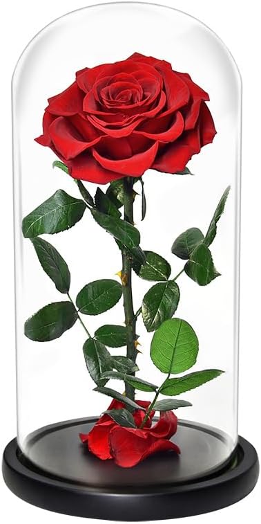 Forever Preserved Rose ¨C Eternal Infinity Real Flower in Glass ¨C Gifts for Valentine's Day and Birthdays for Women: Wife, Mother, Girlfriend (8.07 inches, Red)