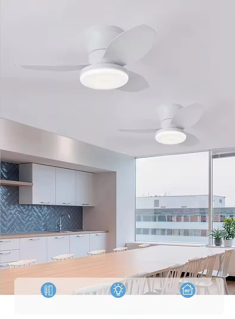 Ventilateur de plafond silencieux de 65 cm (25,5 pouces) avec lumière - Petit ventilateur de plafond avec télécommande, 3 modes d'éclairage LED, 6 vitesses