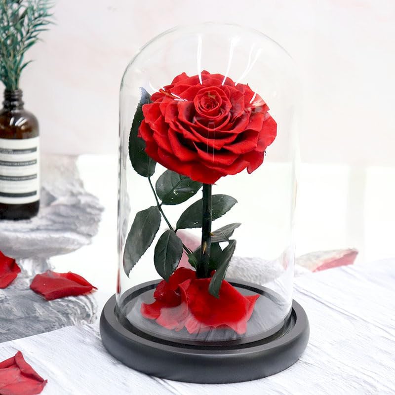 Forever Preserved Rose ¨C Eternal Infinity Real Flower in Glass ¨C Gifts for Valentine's Day and Birthdays for Women: Wife, Mother, Girlfriend (8.07 inches, Red)