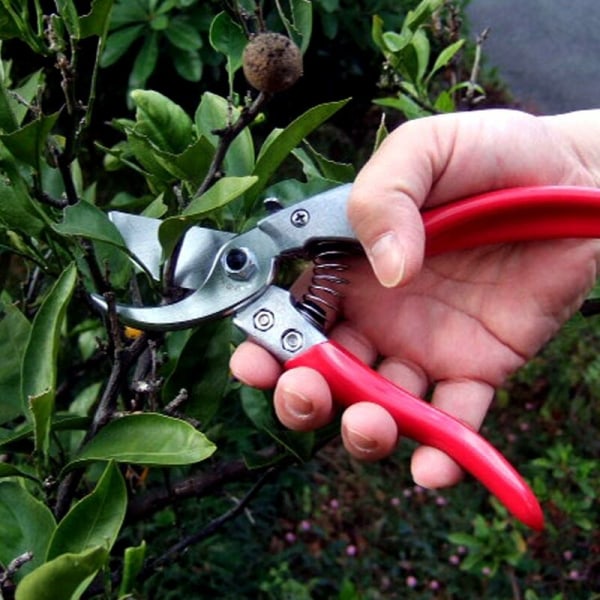 Pruning Shears – Professional Garden Secateurs